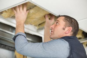 man inspecting insulation